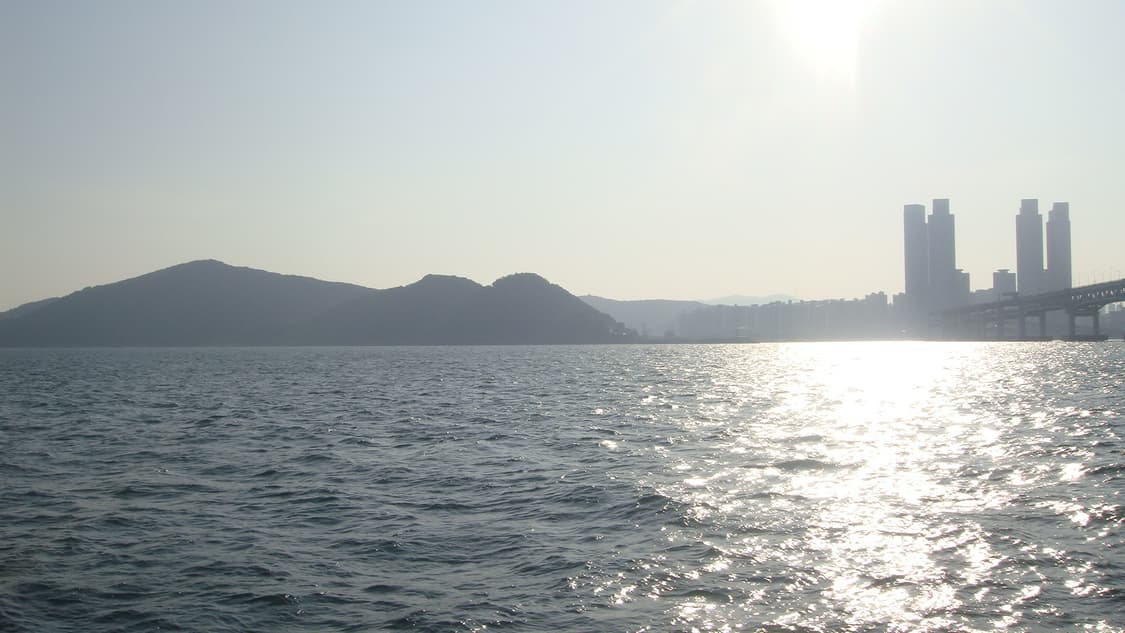 소니 사이버샷 t90 상품이미지9