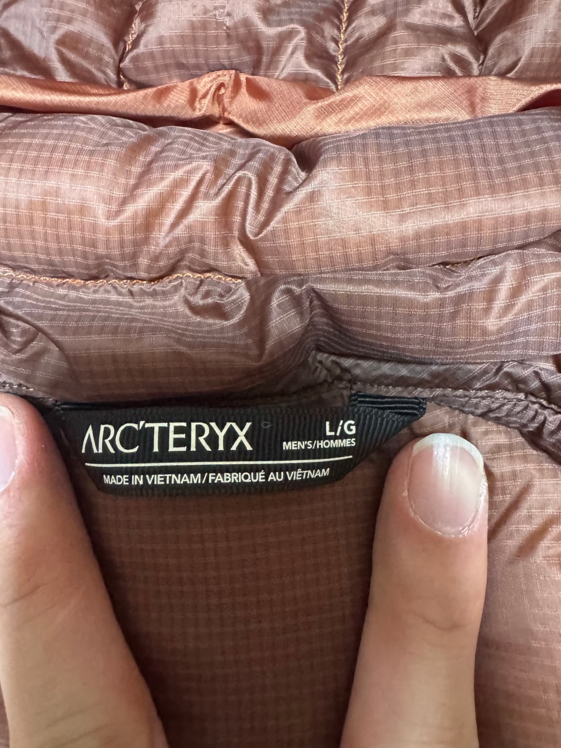 L 아크테릭스 세륨 LT 코모레비 / 후디 상품이미지6