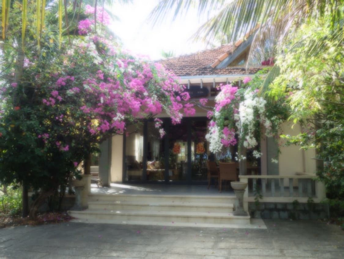 뷰티,소프트필터) 올림푸스 SZ-20 디카 빈티지 소니 캐논 니콘 상품이미지6