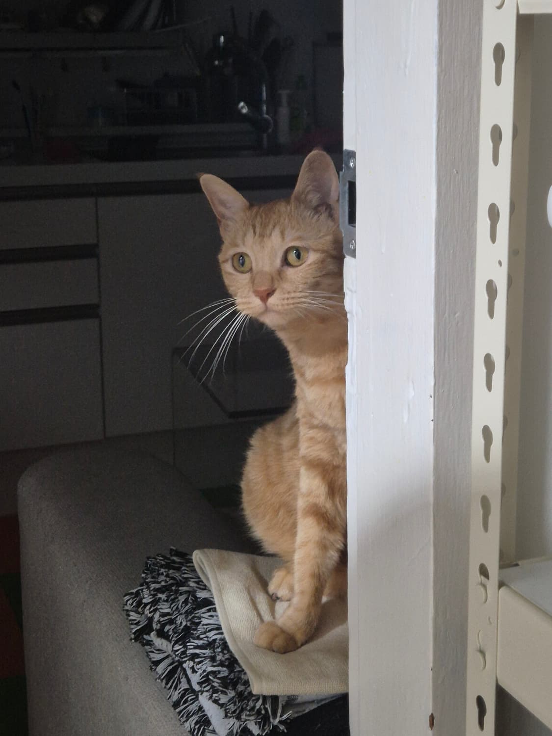 개인결제 상품이미지1