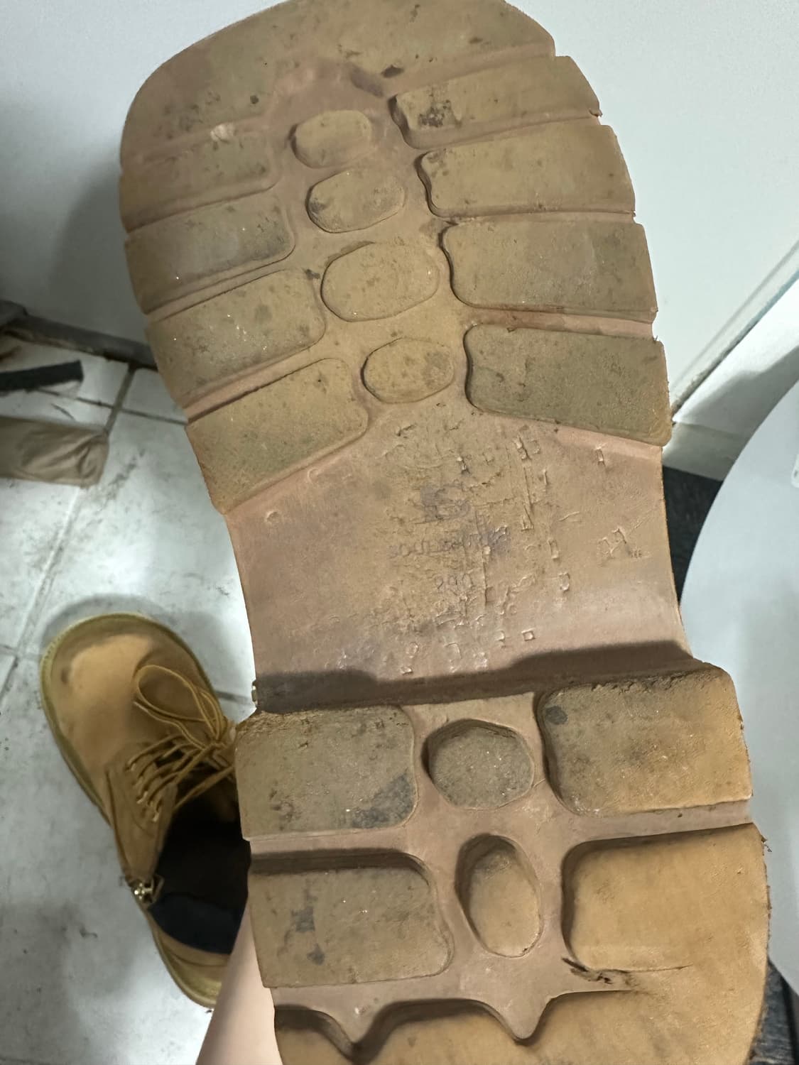 290) 쏘유레슈어 벨루가 상품이미지4