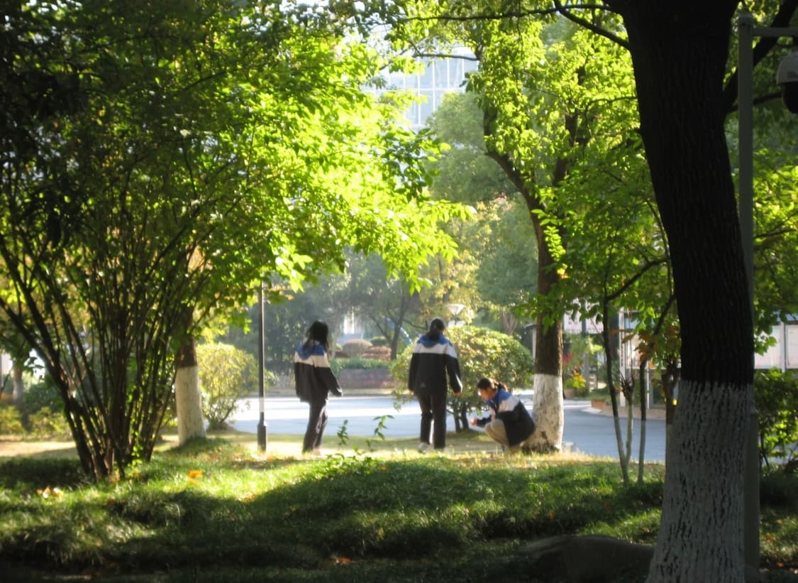 캐논 익서스 65 CANON IXUS 65 빈티지 디지털카메라 디카 상품이미지5