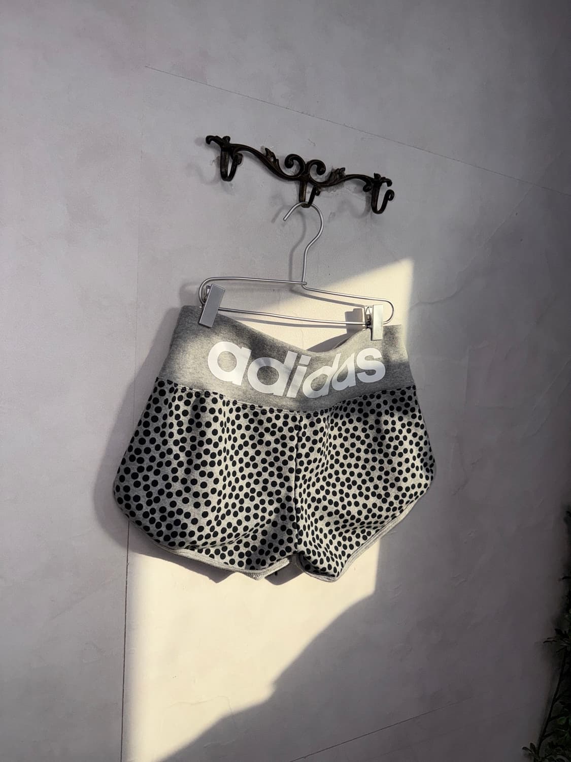 Adidas gray dot logo cotton shorts 상품이미지2