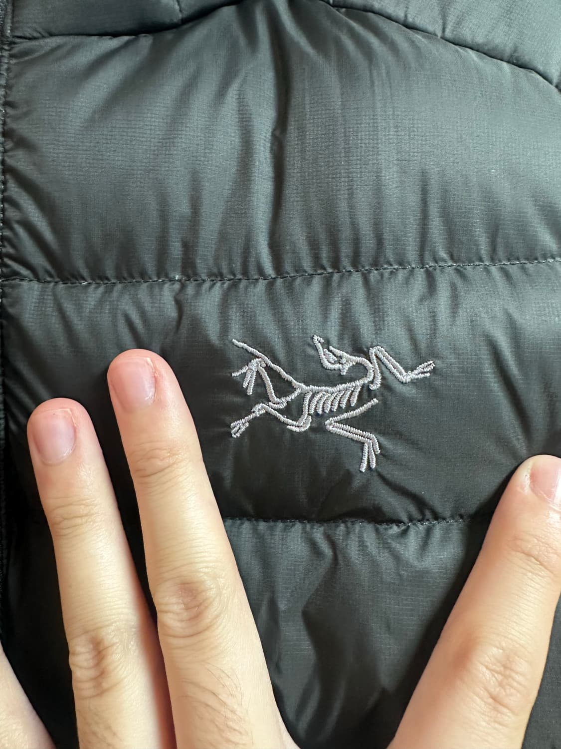 아크테릭스 세륨 후디 L 상품이미지2