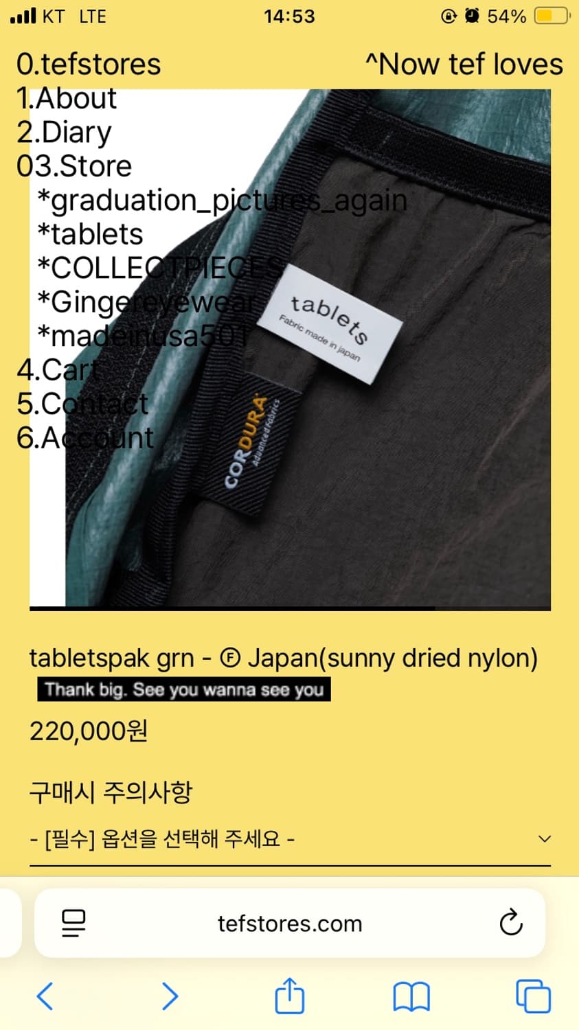 테프스토어즈 타블레츠 가방 상품이미지4