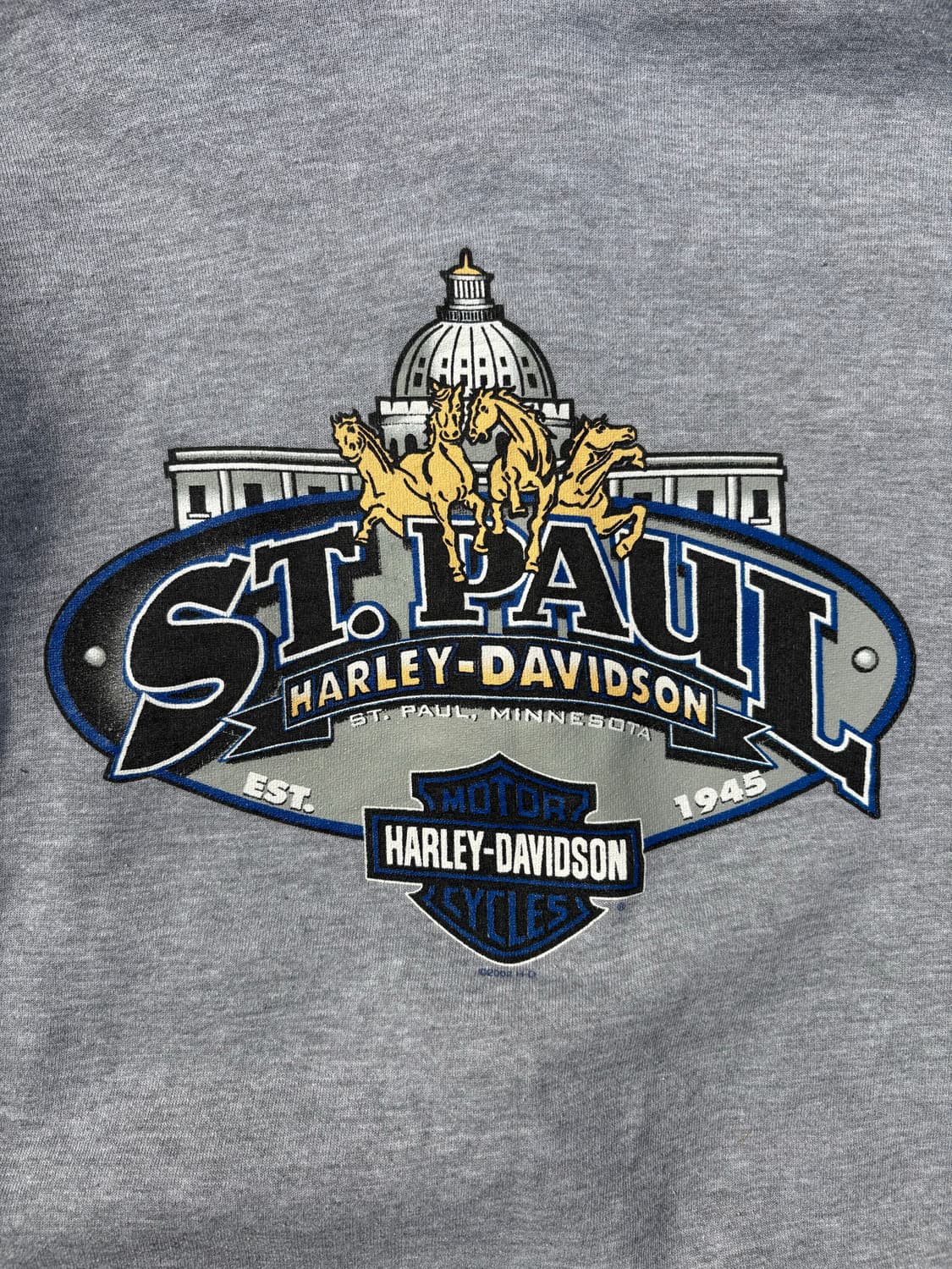 00s 할리데이비슨 후드집업 B221 상품이미지8