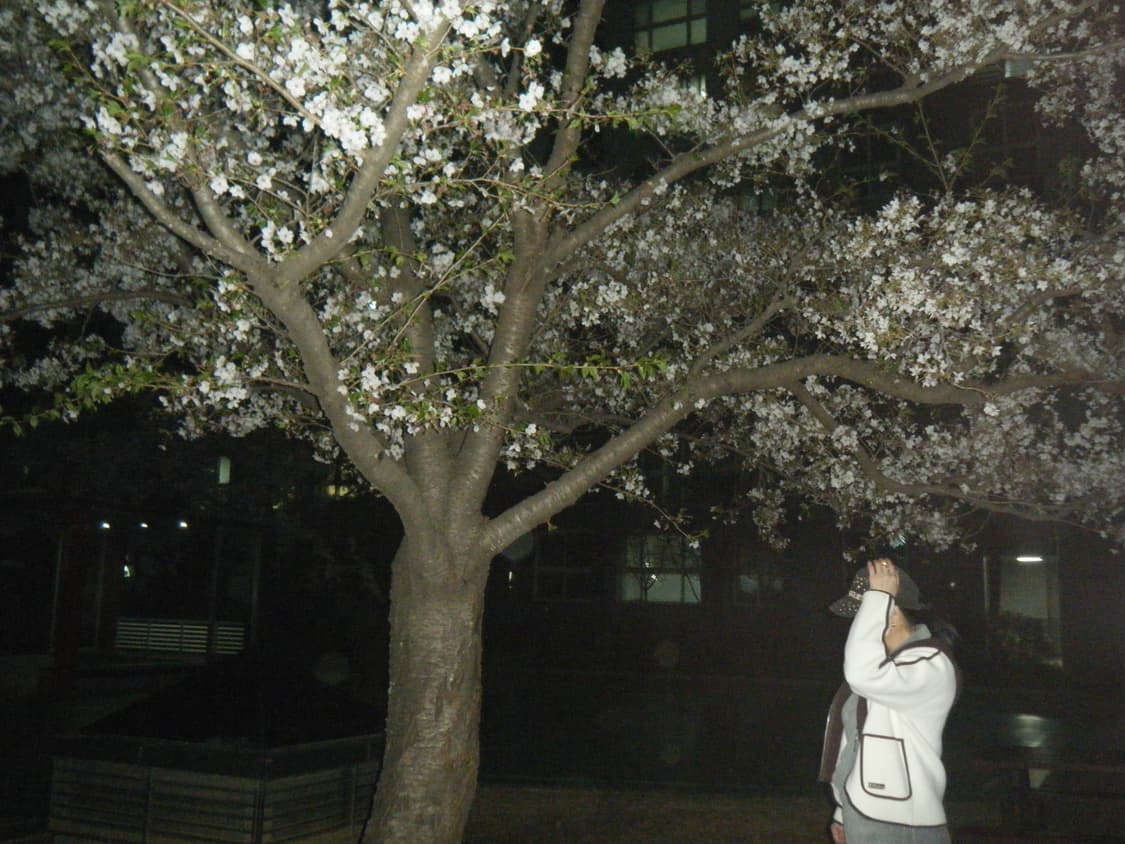 Fujifilm 후지필름 파인픽스 Z33WP (작례 O) 상품이미지9