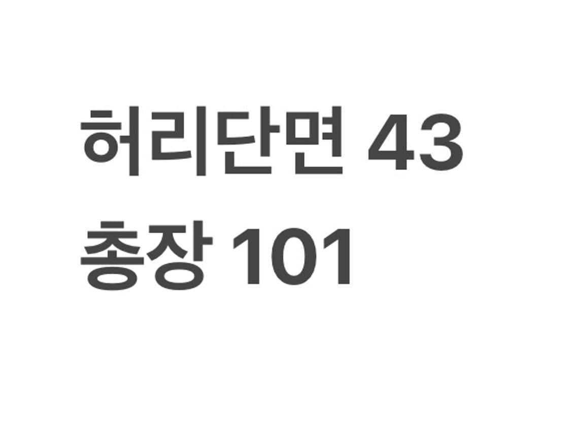 디키즈 874 워크팬츠 상품이미지4