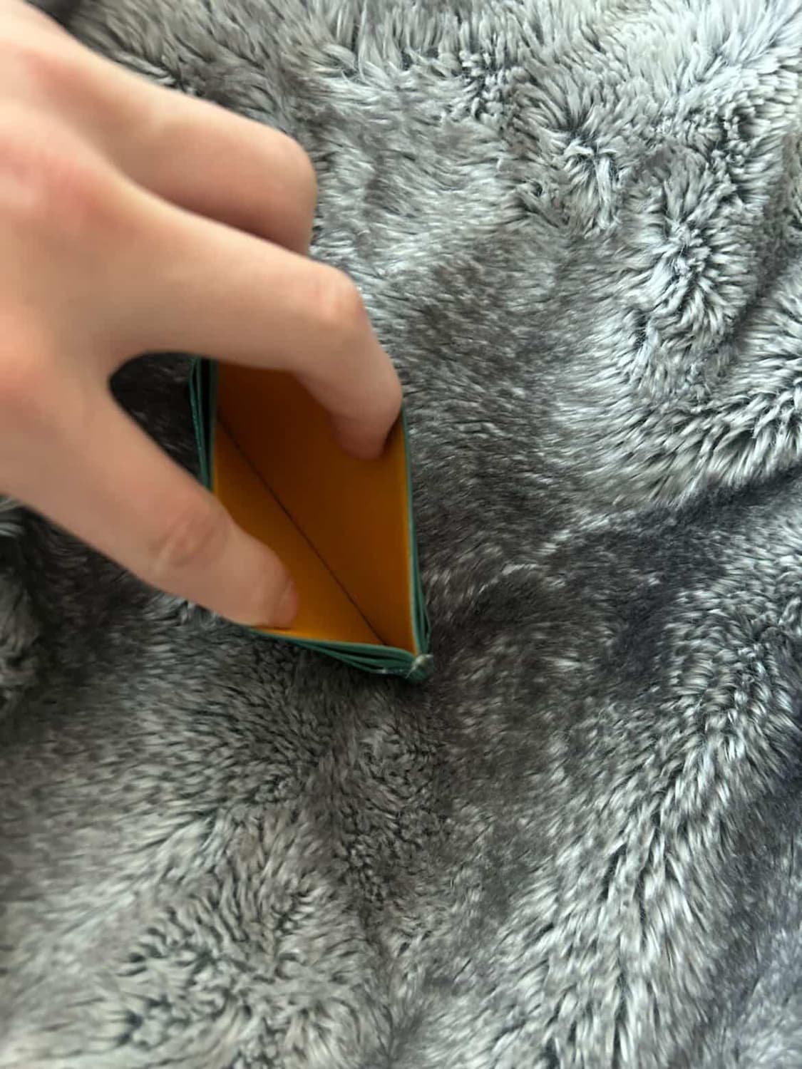 고야드 카드지갑 상품이미지3