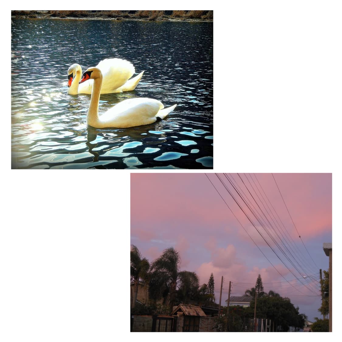 작례) 니콘 쿨픽스 s6200 소프트 포커스, 슬로우 싱크, 크로스 필터 상품이미지7