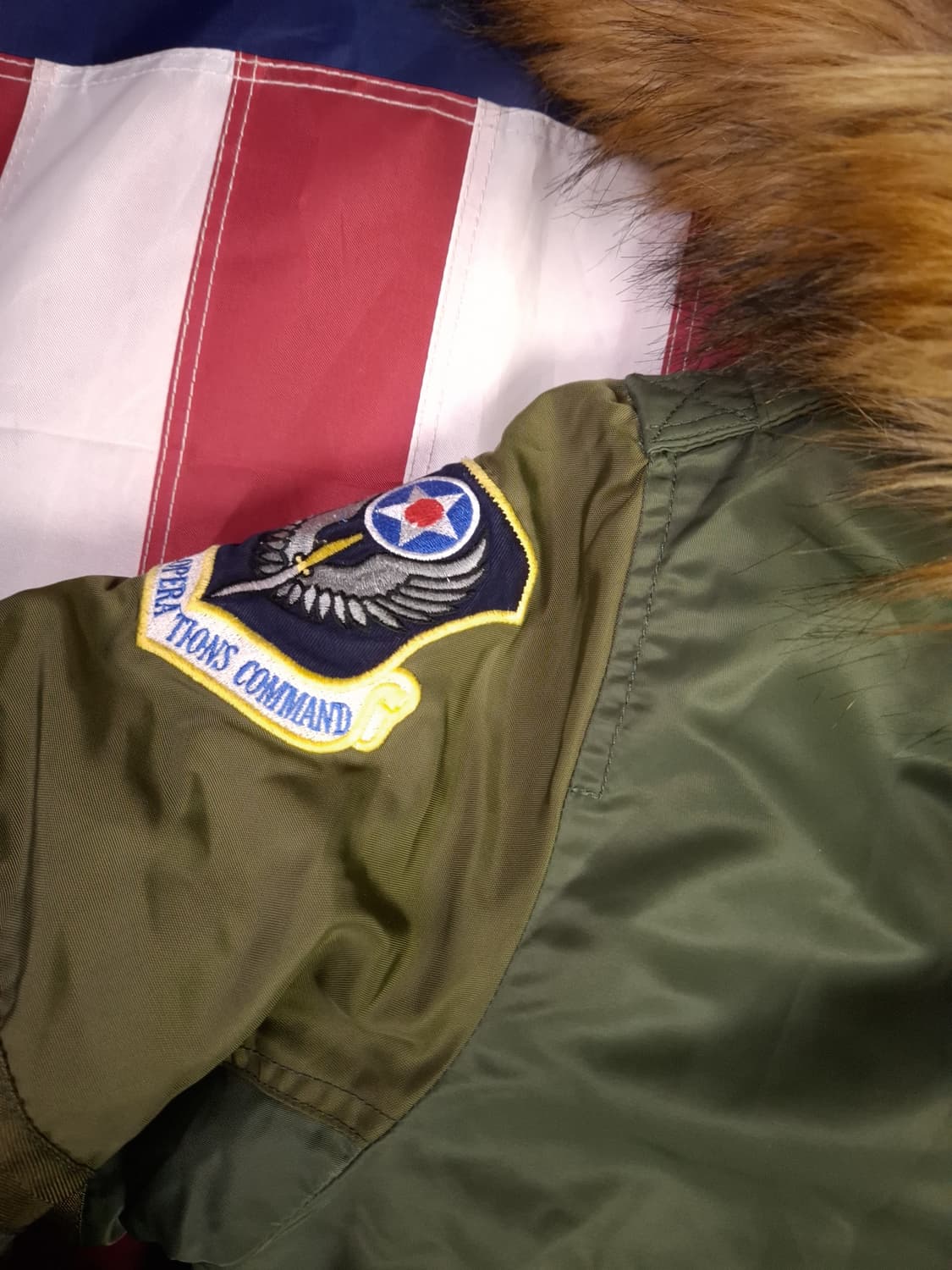 특A 오리지날 엑스톤즈 N-2B 록히드 미공군 파카 상품이미지6