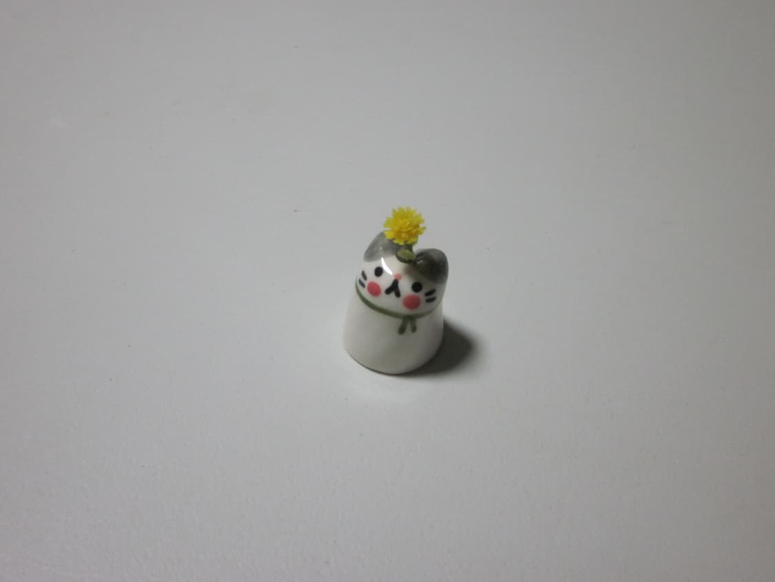 풀박스 캐논 익시 900 IS=익서스 850 (ixus 850) 작례o 상품이미지10