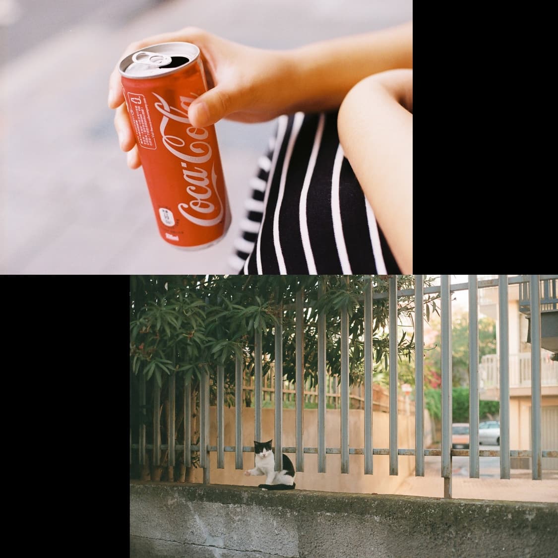 캐논 eos55 50mm1.8 (작례0) 상품이미지4