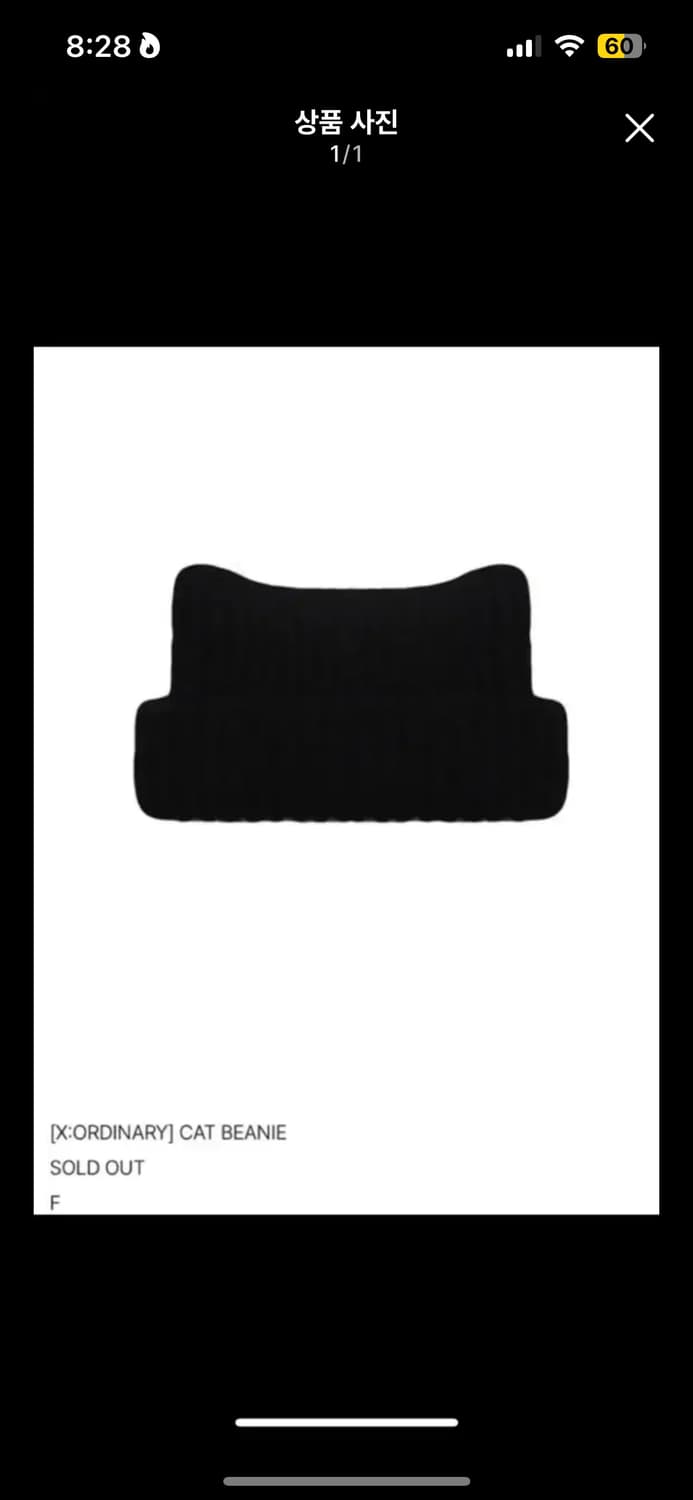 엑스오디너리 캣비니 상품이미지1