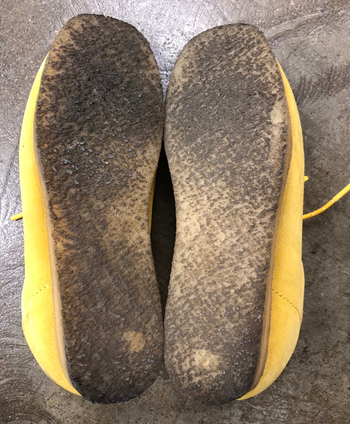 클락스 왈라비 옐로우 스웨이드 270 상품이미지6