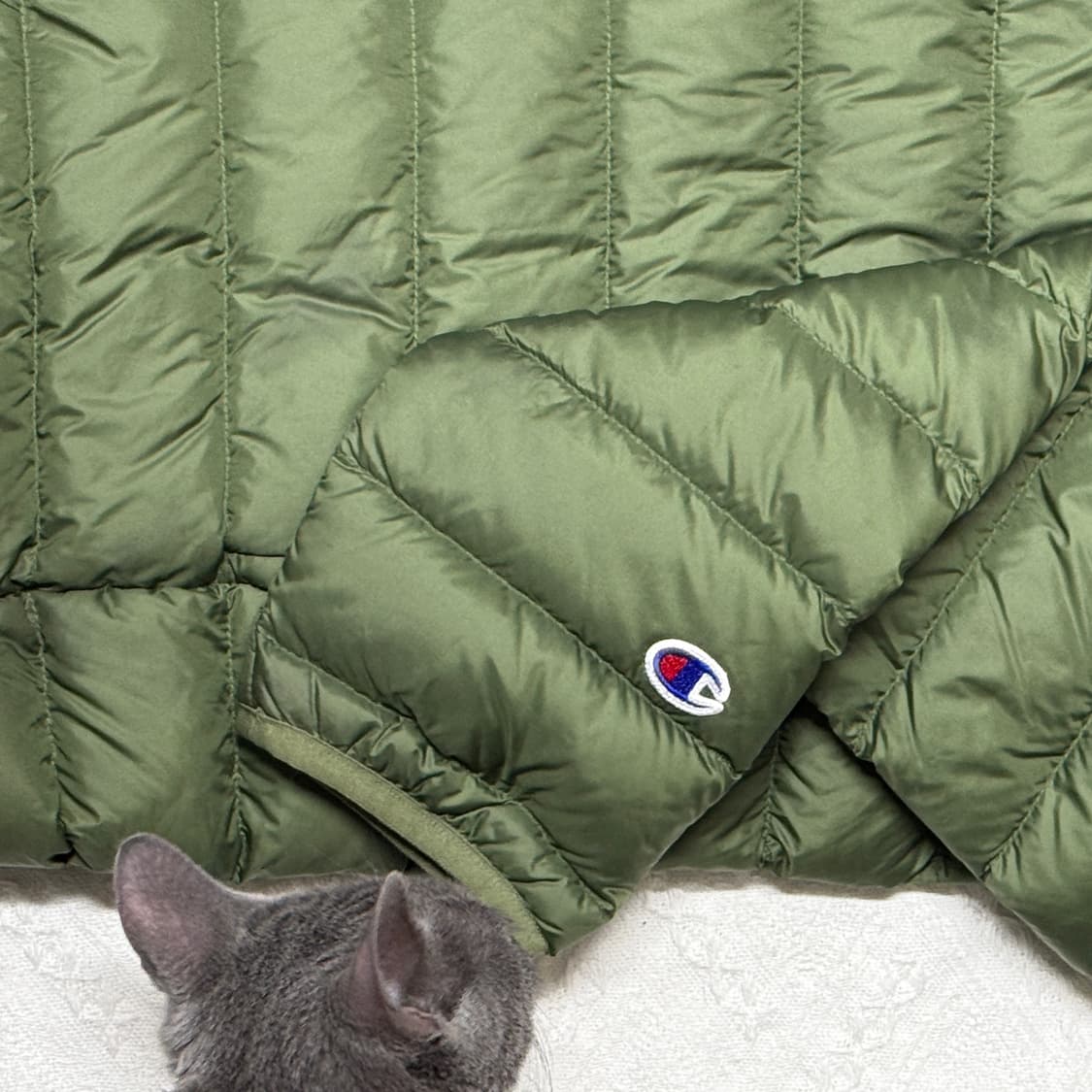 챔피온 카키 경량패딩 상품이미지3