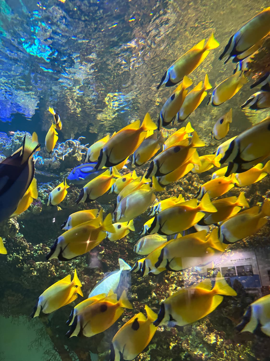 Ma****san님 개인 결제창 상품이미지1