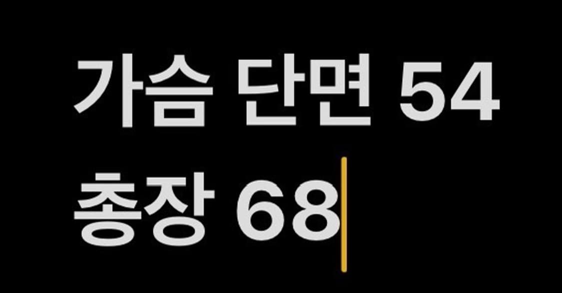 [정품/105] 지오지아 브라운 양가죽 자켓 b16 상품이미지9