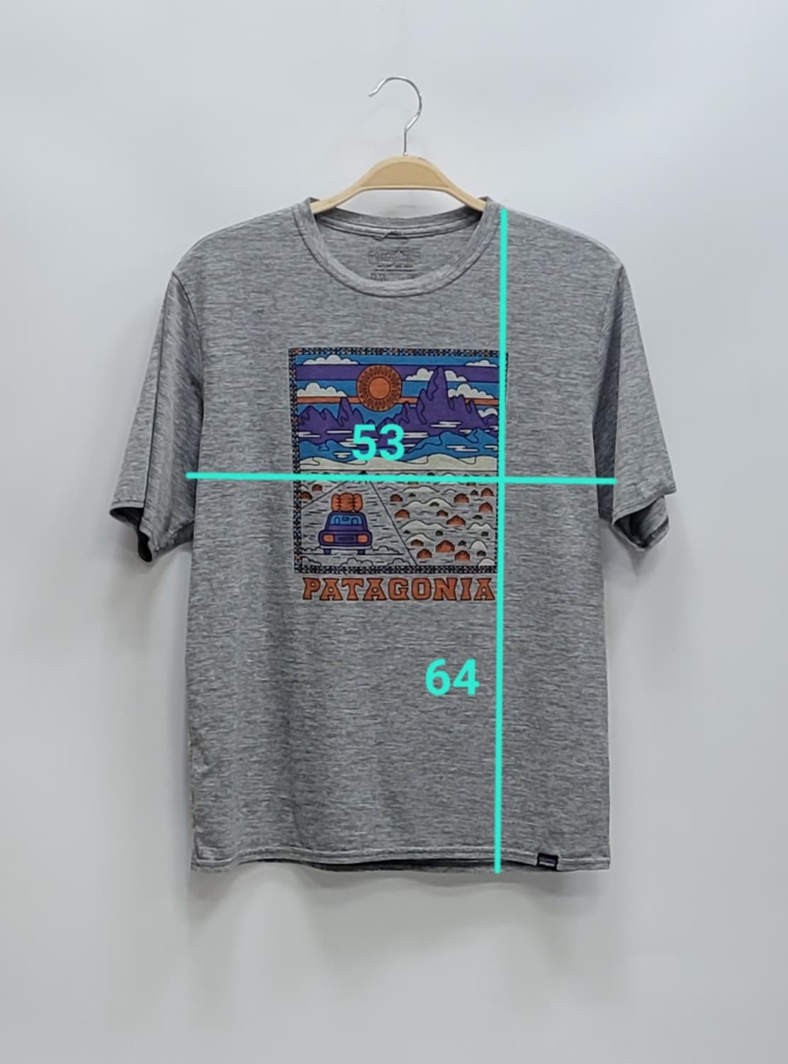 파타고니아 20SS 캐필린 쿨 테일러 그래픽 티셔츠 / 남 M 그레이
 상품이미지10