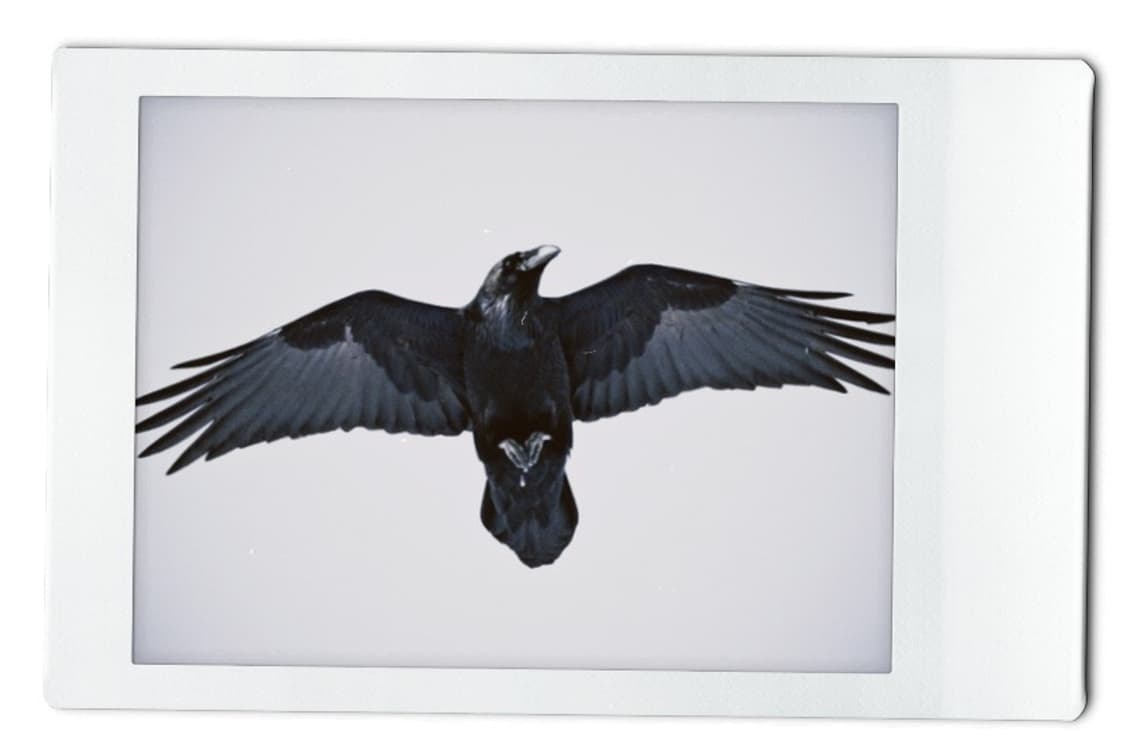 Bracelet - Raven 🐦‍⬛ 상품이미지2