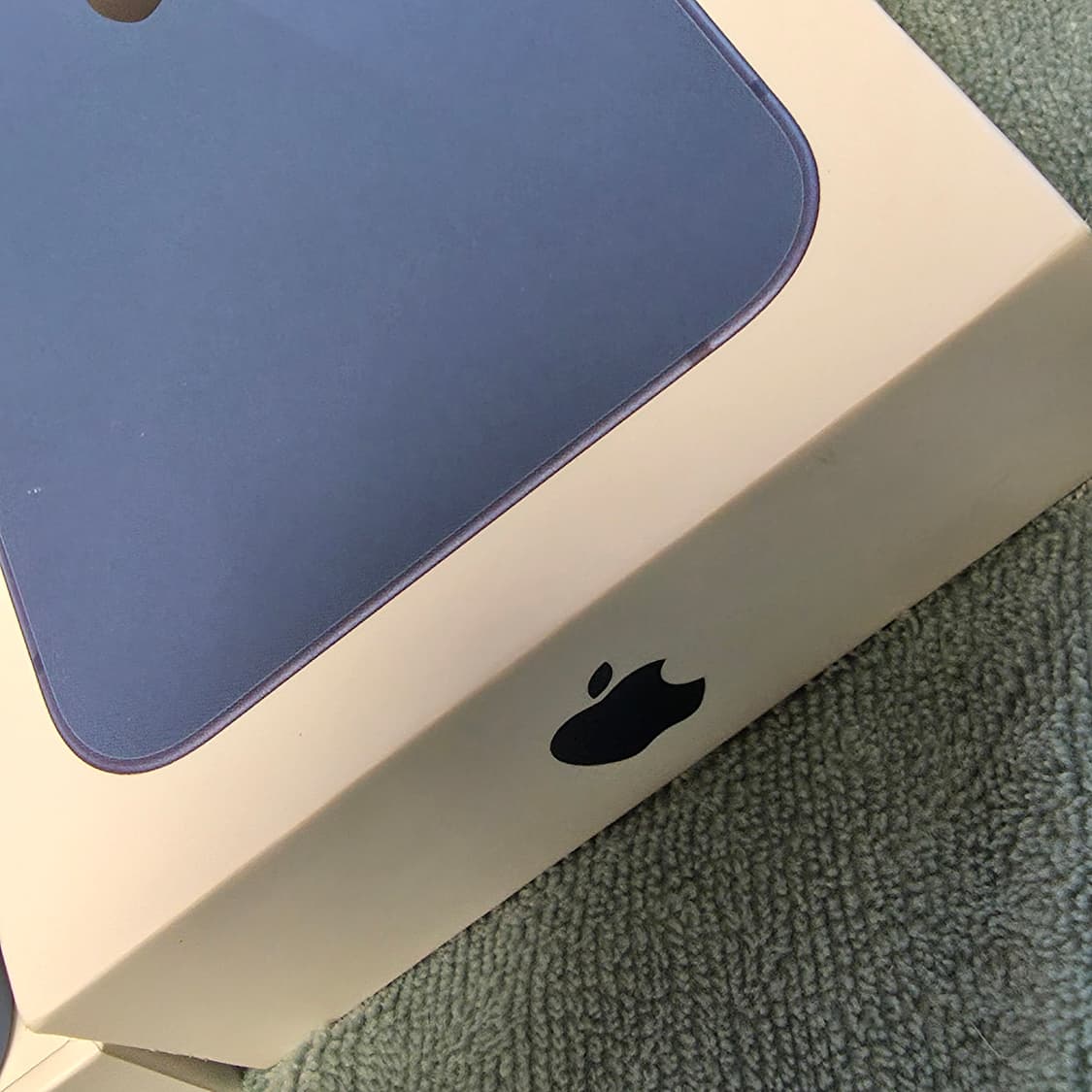 (단순개봉 미사용)아이폰13미니 블루 128GB 상품이미지2