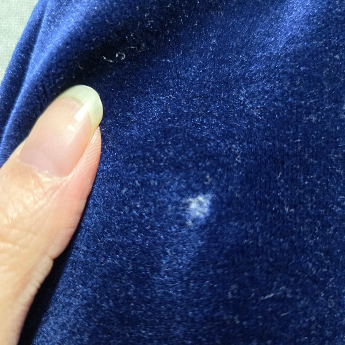 나이키 벨루어 벨벳 트레이닝 조거 팬츠  상품이미지6