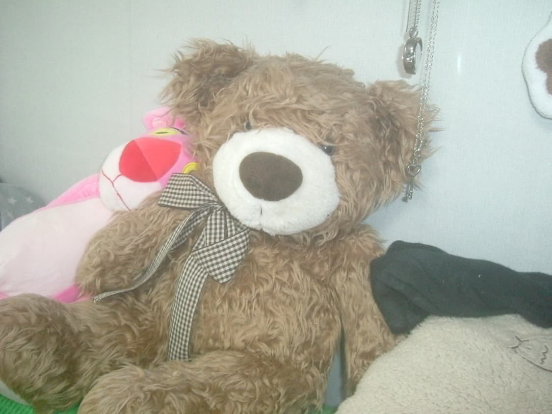 (작례O) 후지 파인픽스 A310 finepix fujifilm 상품이미지2