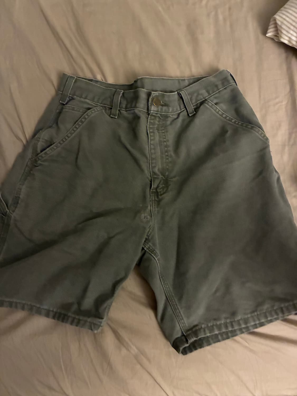 칼하트 쇼츠 30 상품이미지1