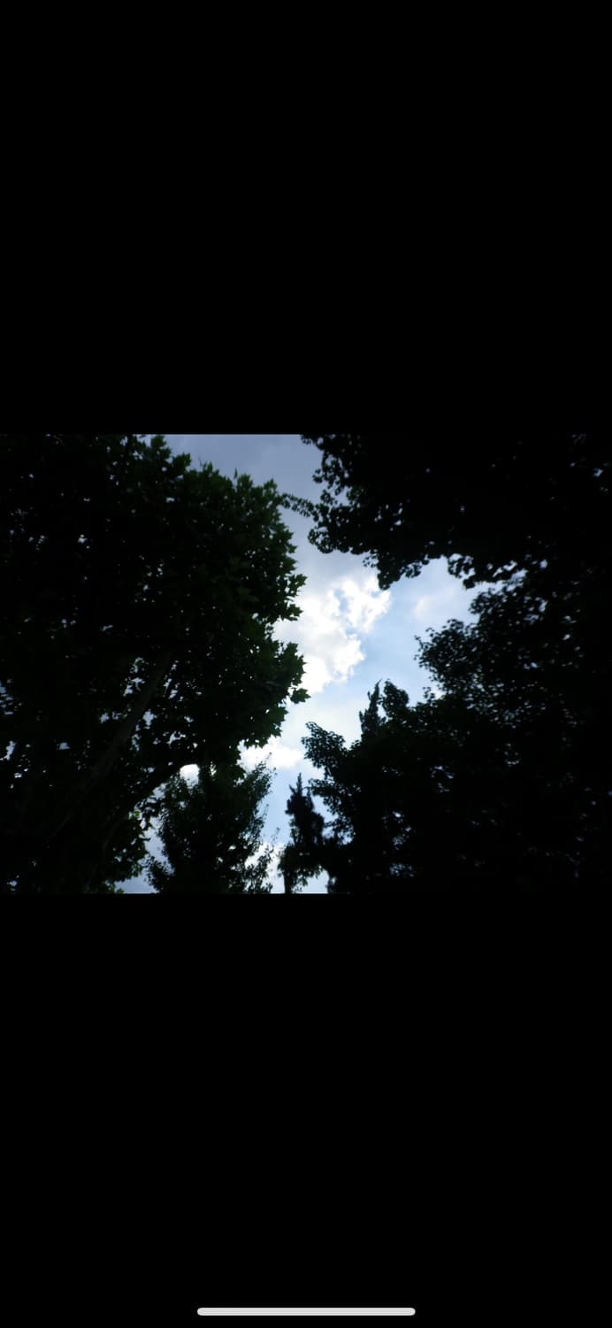 Pentax펜탁스 옵티오 H90디카 상품이미지7