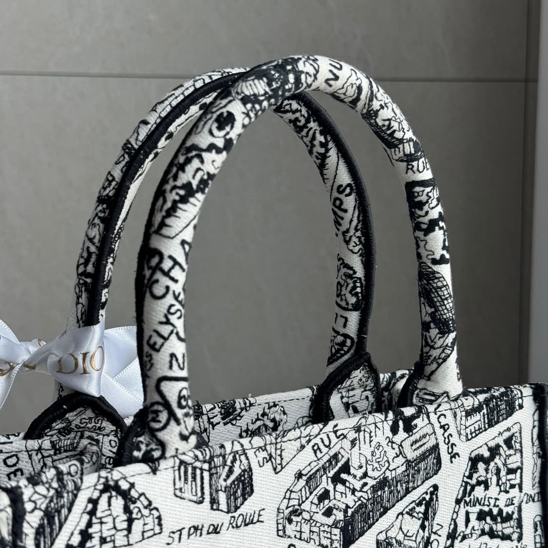 [새상품급] 디올 플랜드 파리 북토트 백 스몰 상품이미지7