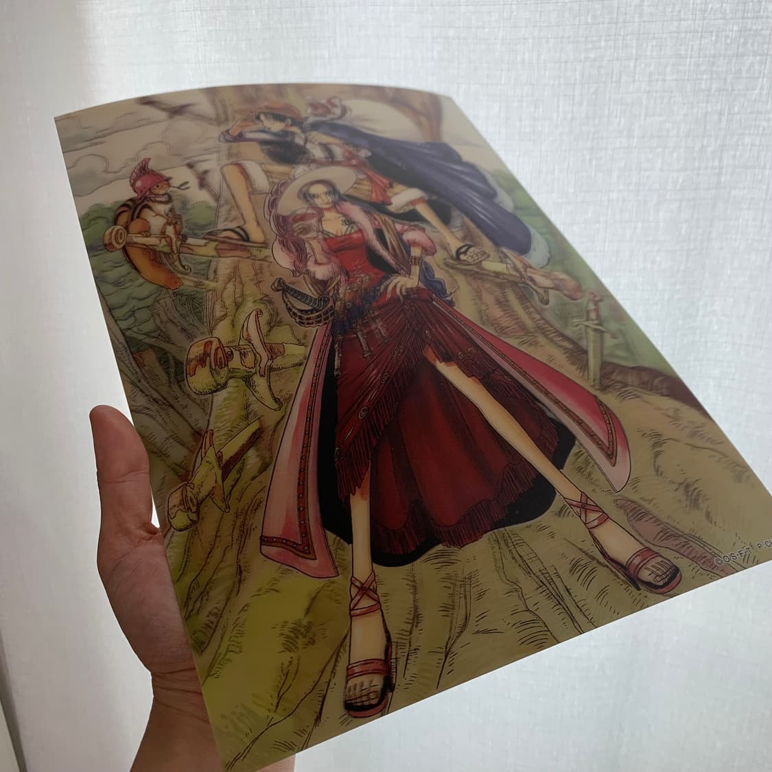 🏴‍☠️원피스 비비 입체액자+로그 컬렉선 악세사리 상품이미지4