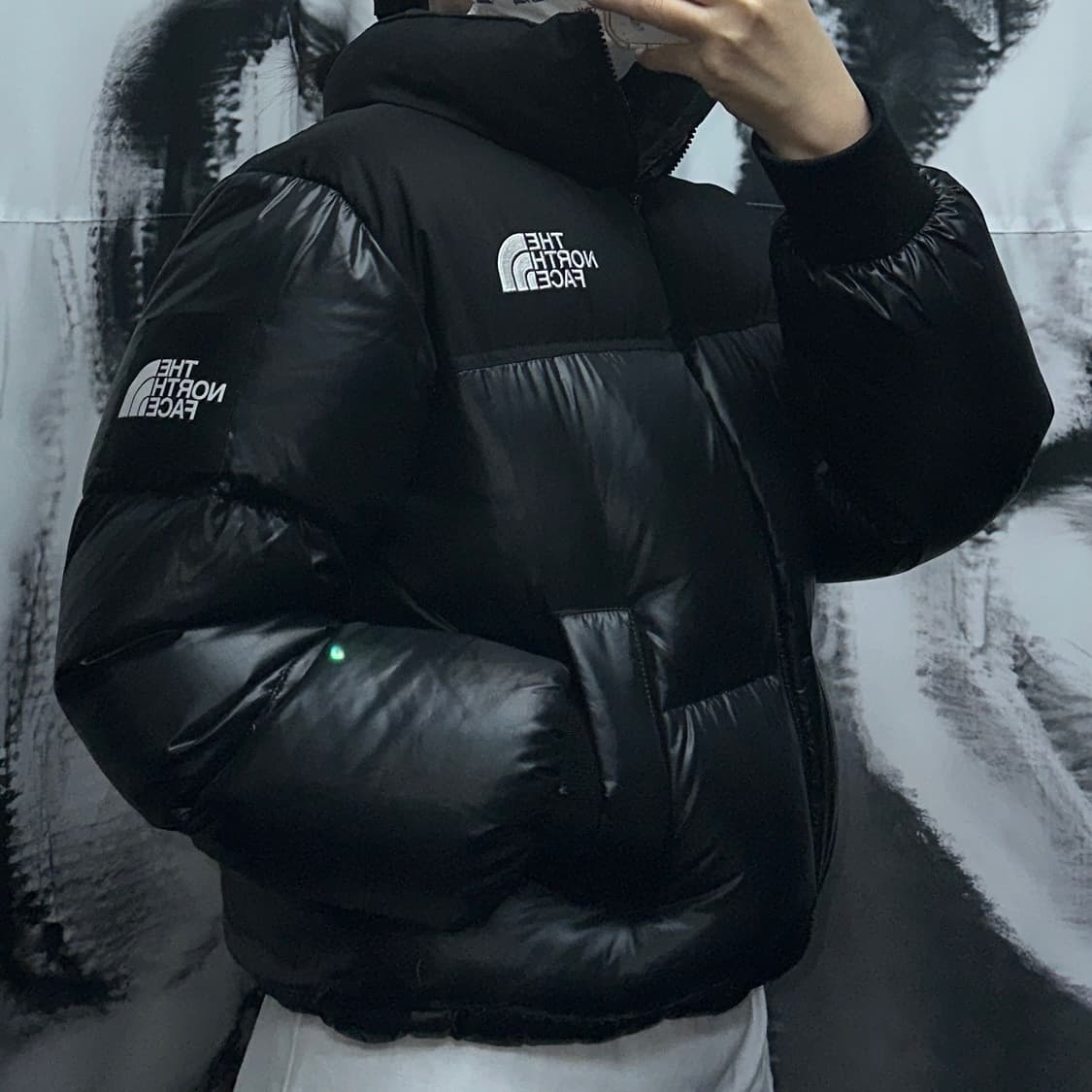 노스페이스 화이트라벨 노벨티 눕시다운패딩 상품이미지2