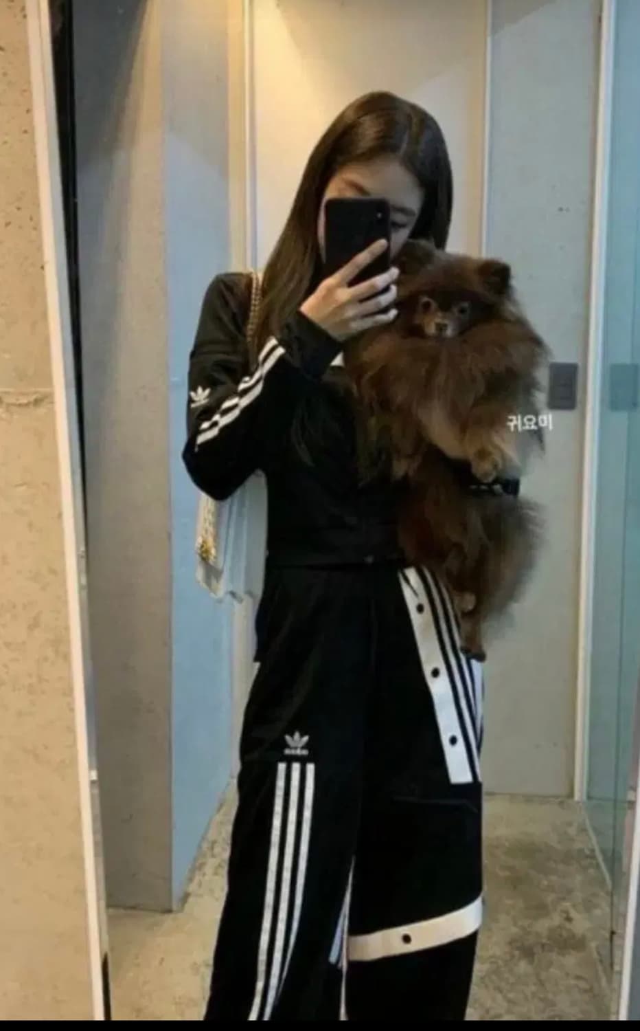 제니 아디다스 져지 상품이미지1