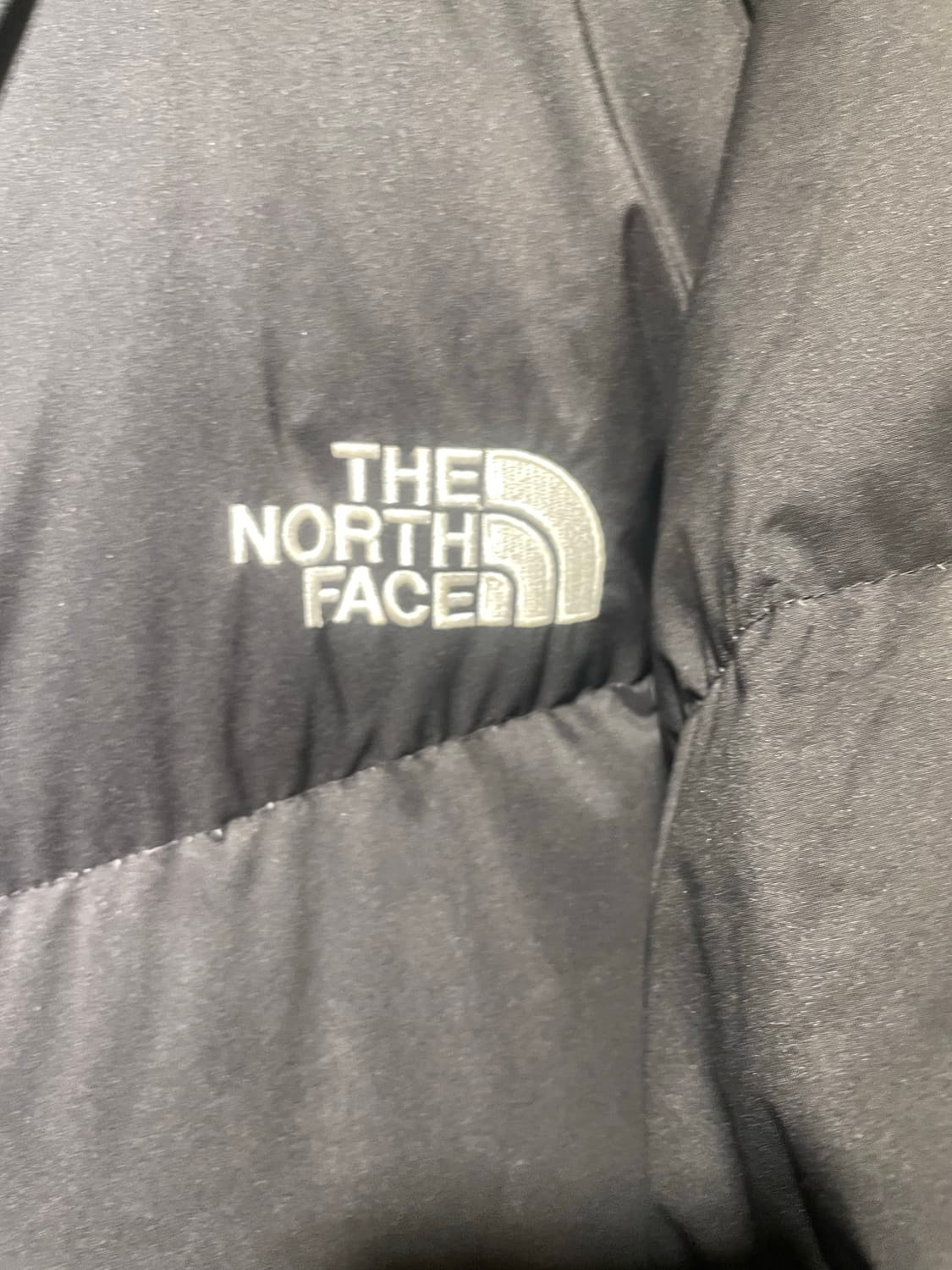 노스페이스 블랙 패딩 DRYVENT 110  상품이미지3