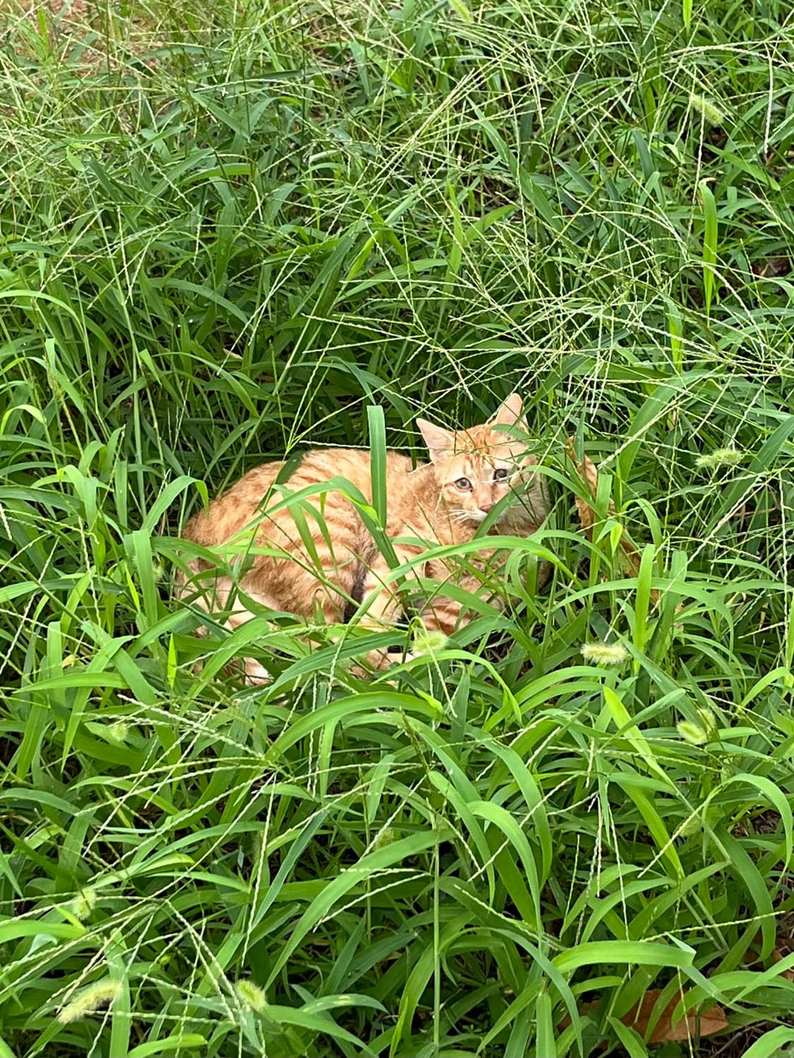 -공지- 상품이미지1