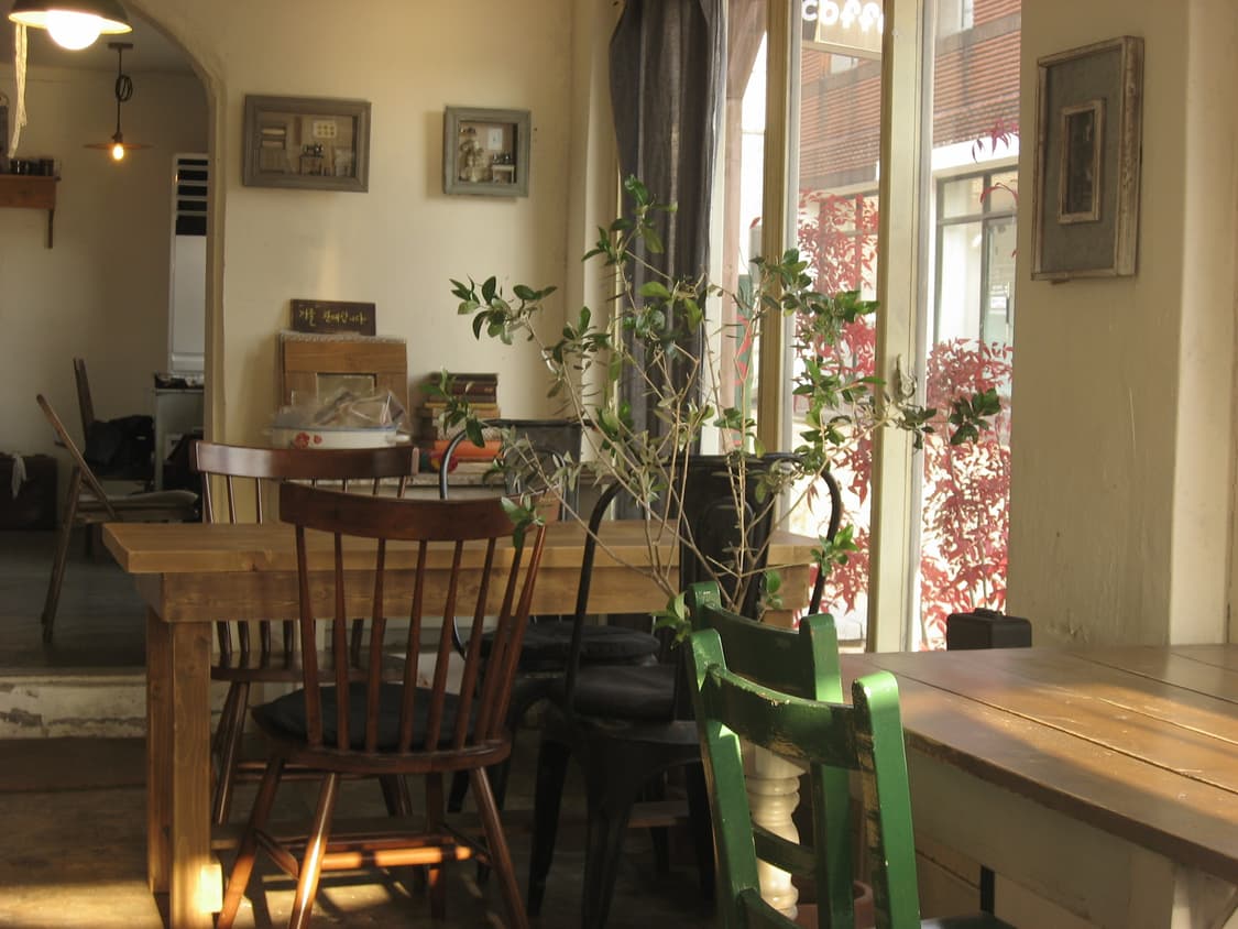 (작례 ㅇ) 빈티지 색감 캐논 익시 800 ixy 800 익서스 상품이미지8