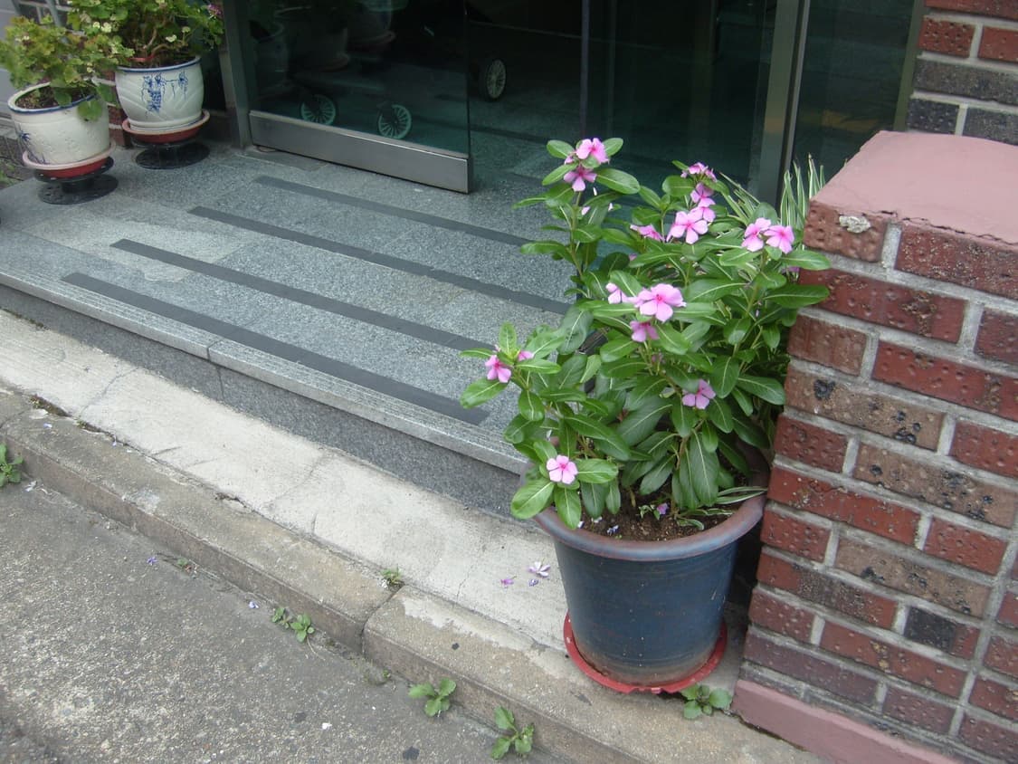 삼성 케녹스 S730 실버 디카 (빈티지 카메라) 상품이미지6