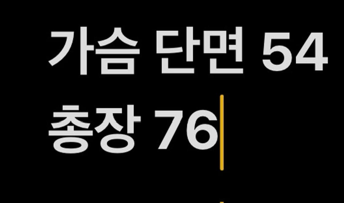 [ XL ] 부산 롯데 자이언츠 반팔 유니폼 b14 상품이미지8
