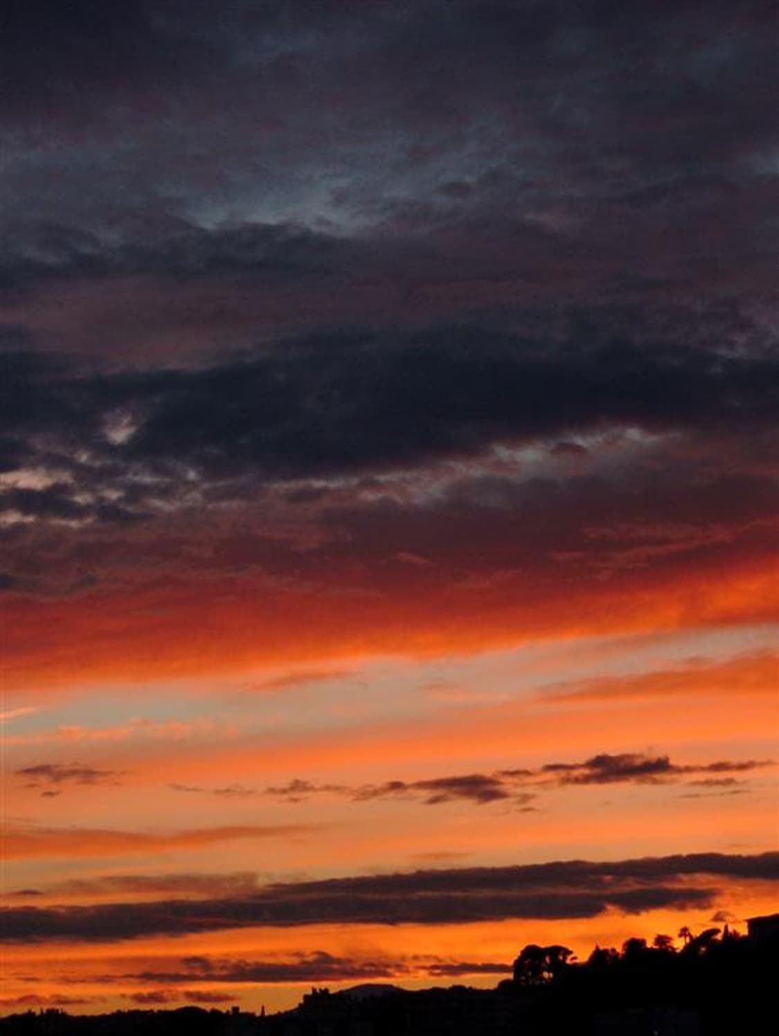 후지필름 파인픽스 F710 빈티지 디카 판매합니다 상품이미지9