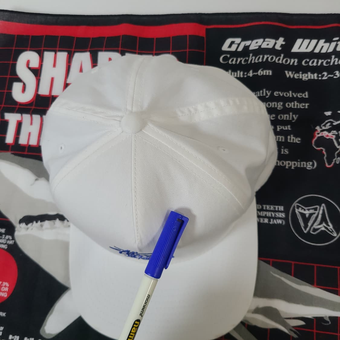 스투시 월드투어 화이트 스냅백 모자 상품이미지10