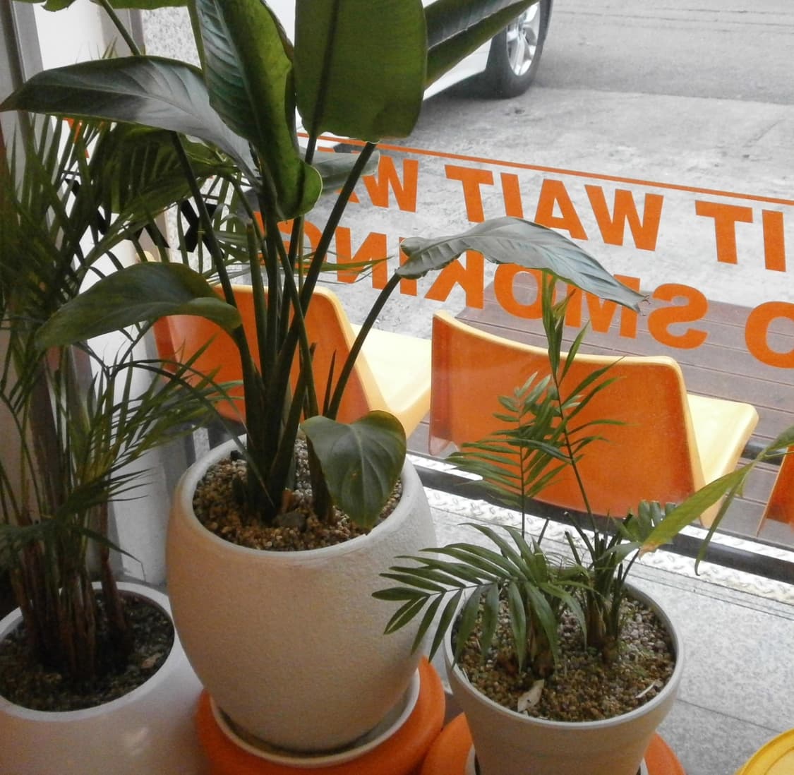 올림푸스 Olympus VG-110 실버 빈티지디카 상품이미지6