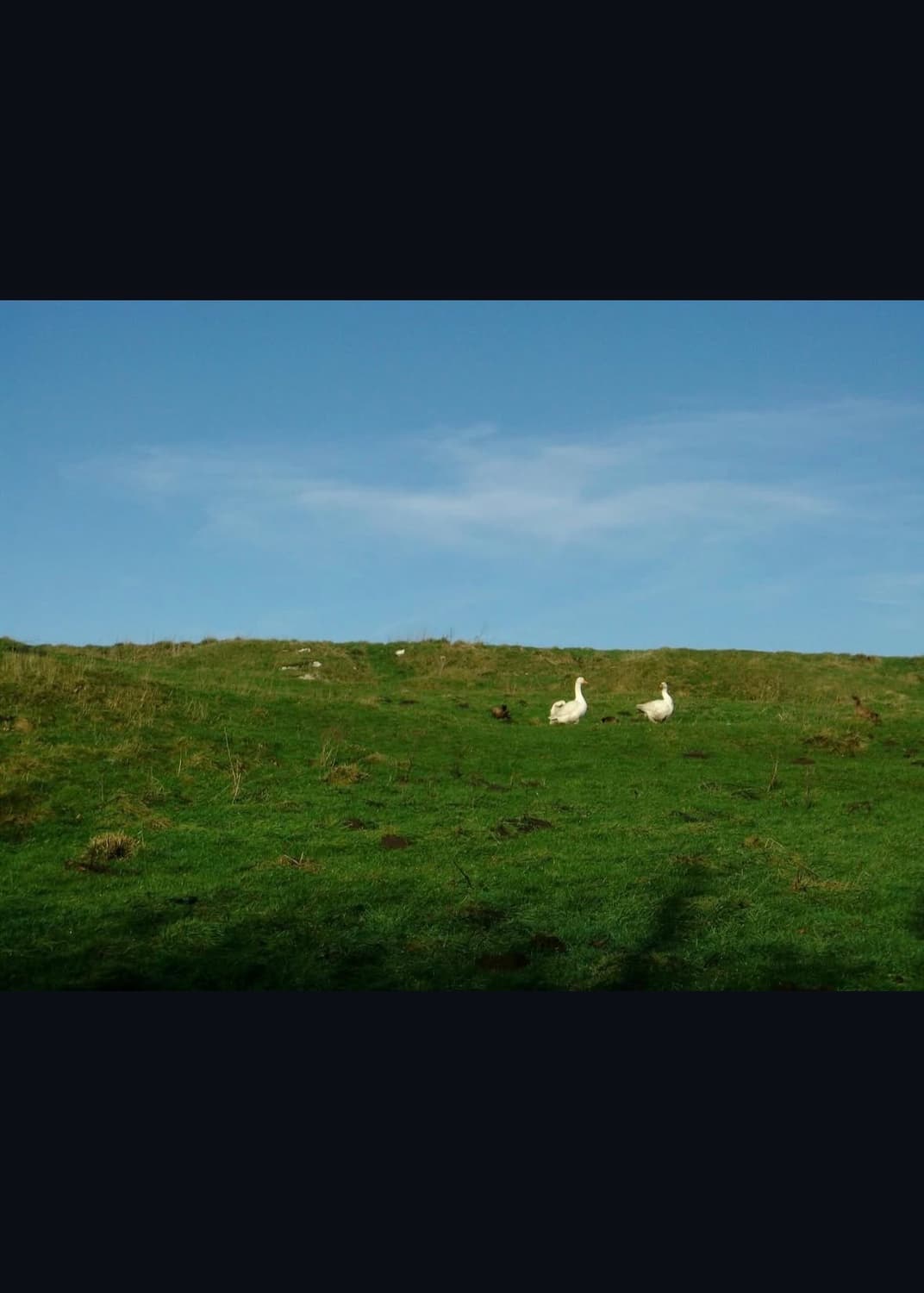 후지필름 파인픽스 ax650 디지털카메라 상품이미지8