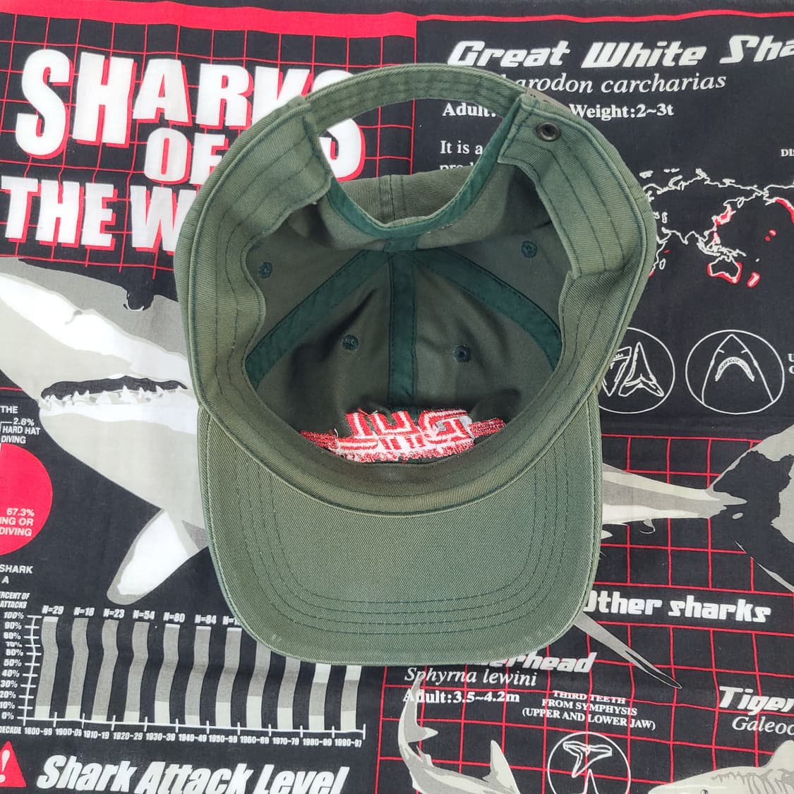 90s 빈티지 DHL 6패널 카키 모자 볼캡 (대두 모자) 상품이미지10