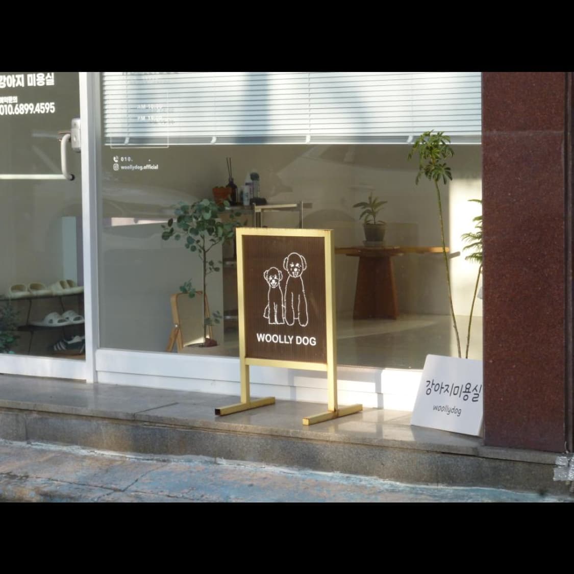 파나소닉 DMC-S2  베이비 블루 매트🌬️ 빈티지 디카 디지털카메라 상품이미지8