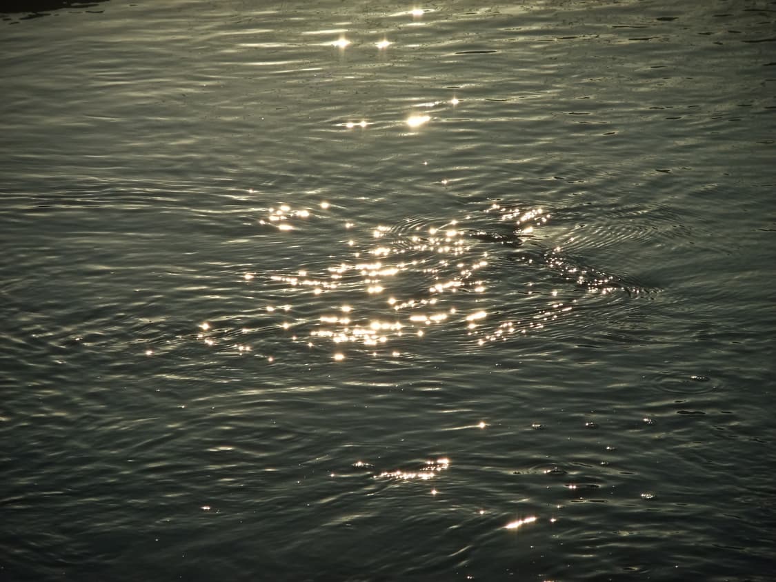 아일릿 원희 디카) 작례⭕️ 후지필름 f70exr 상품이미지5