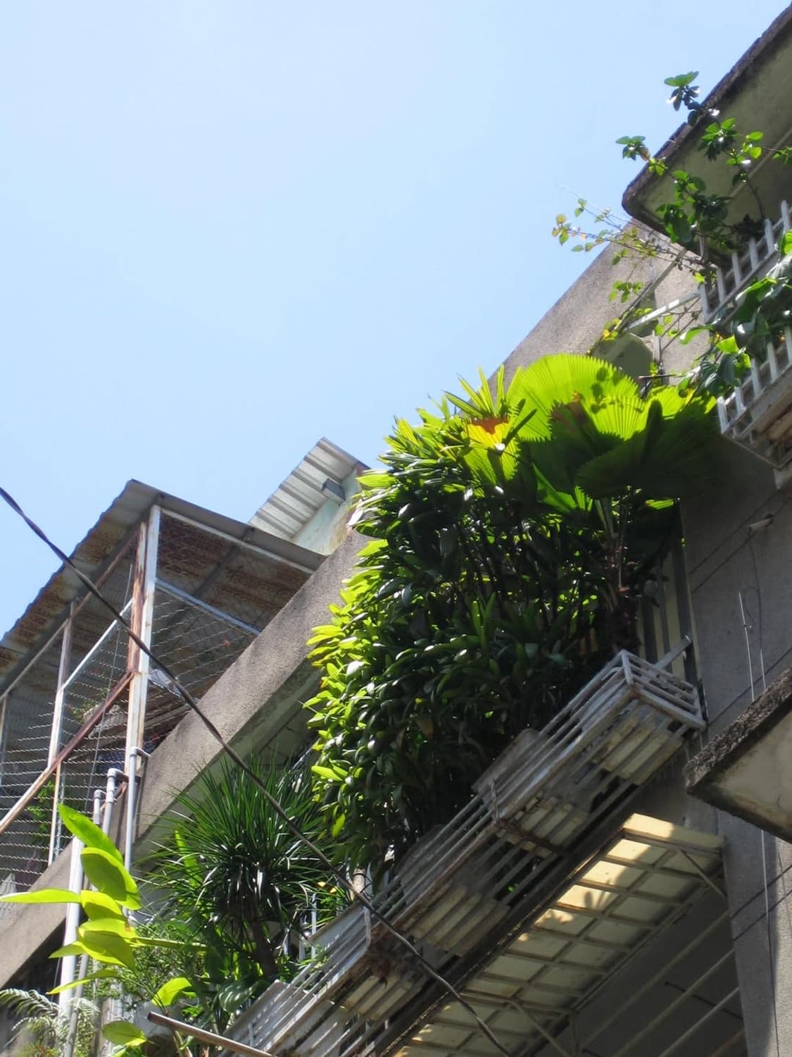 아이유디카💛 ) 캐논 ixy 50 ixus50 상품이미지2