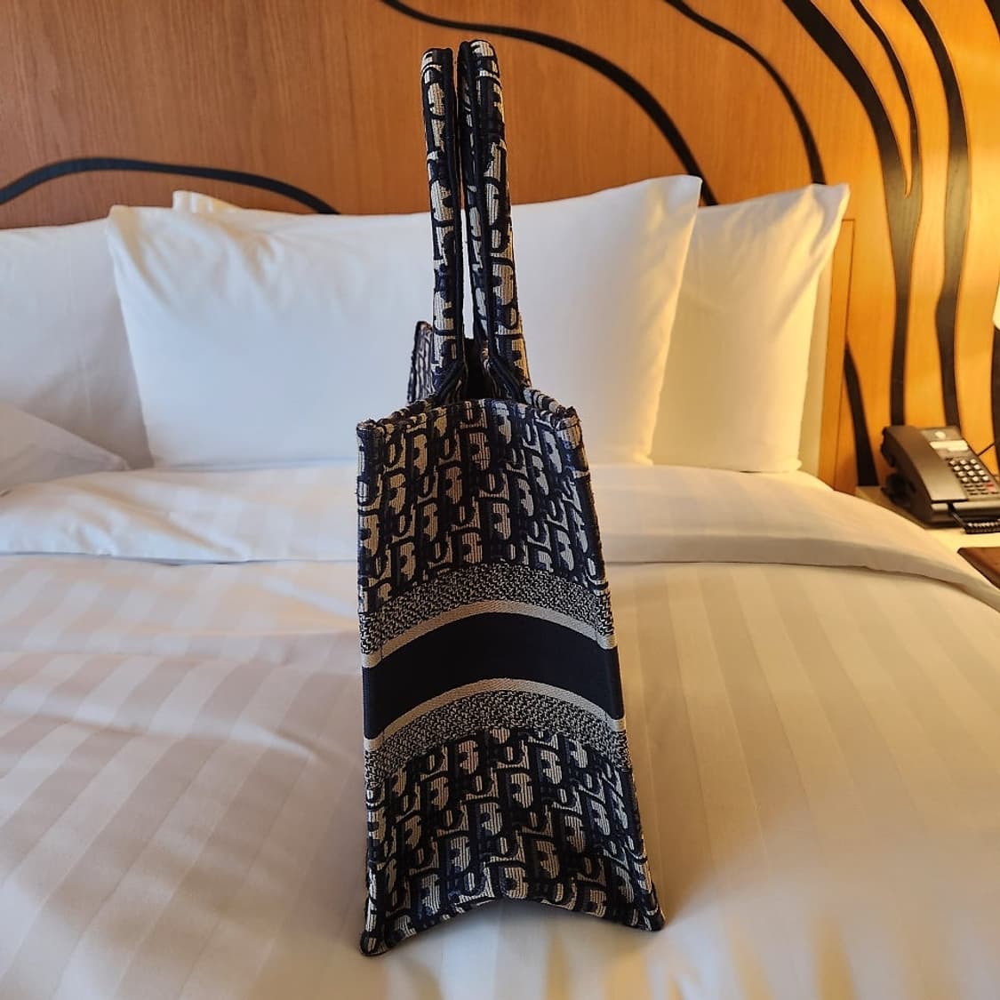 디올 book tote 스몰백 상품이미지3