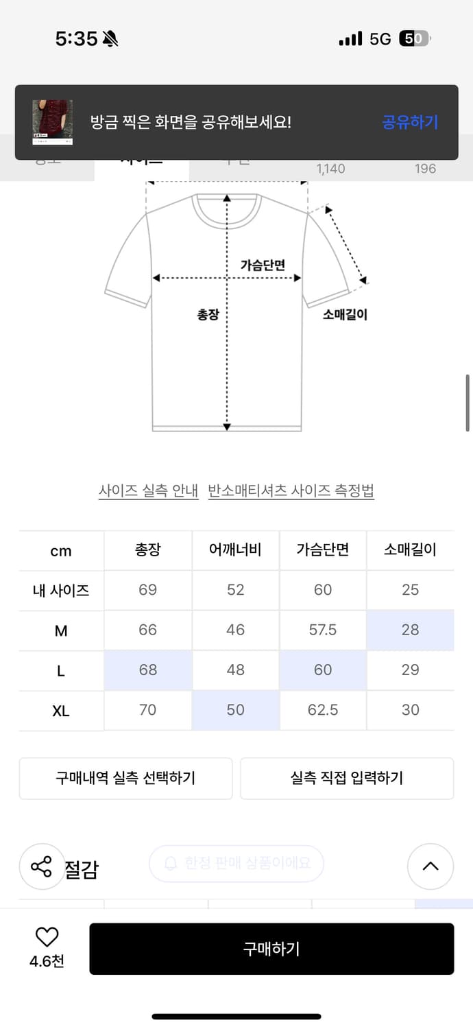 [L]인템포무드 허니비 스트라이프 칼라 니트 와인 상품이미지2