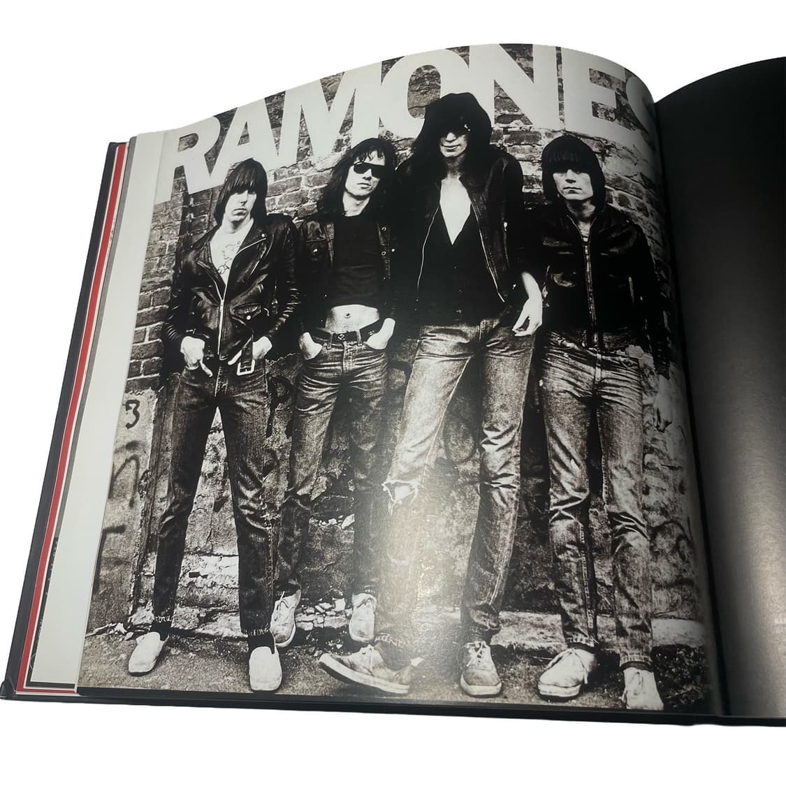 Punk Vinyls Art book - 펑크 록의 역사 상품이미지3