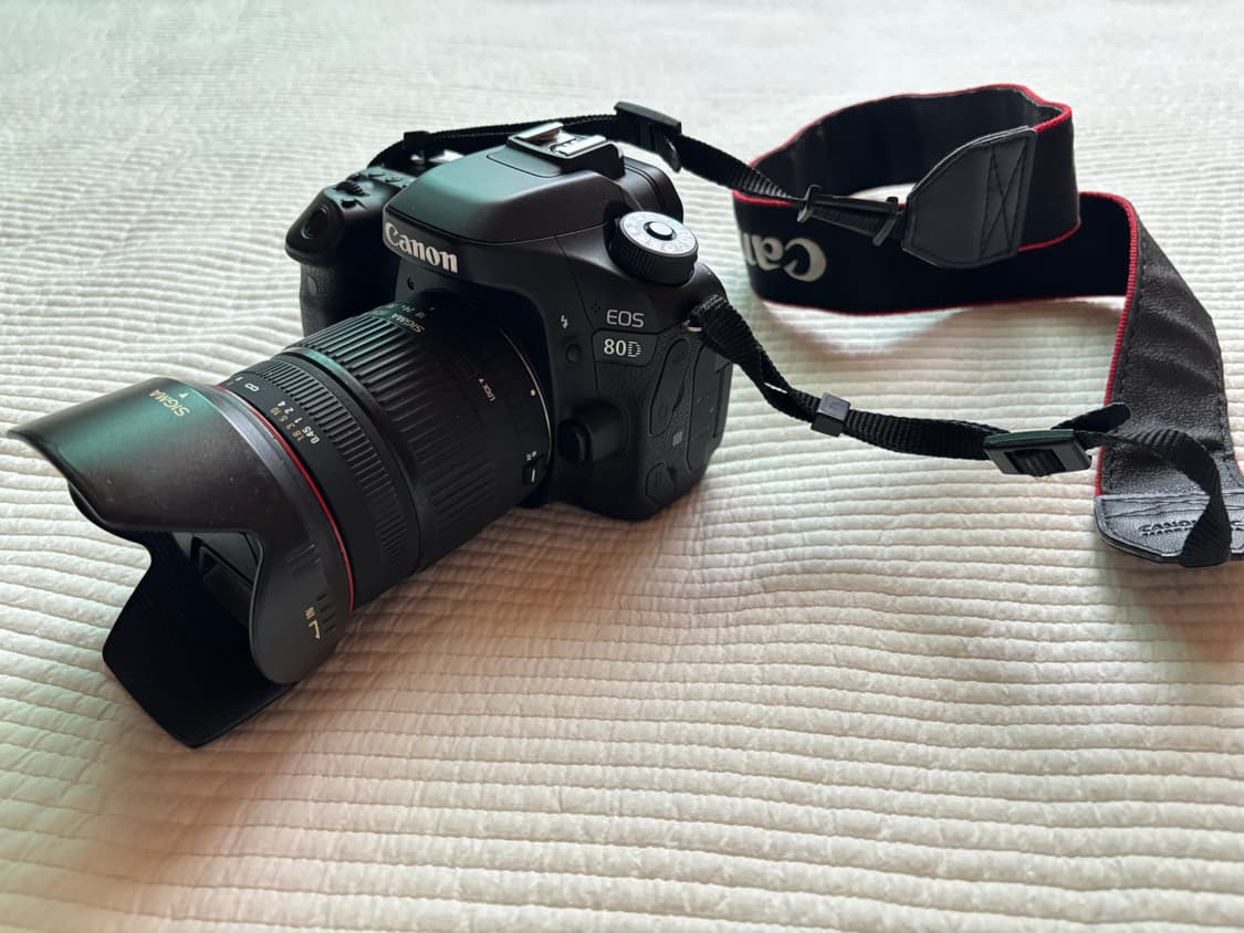 캐논 EOS 80D + 시그마 18-20mm 상품이미지2